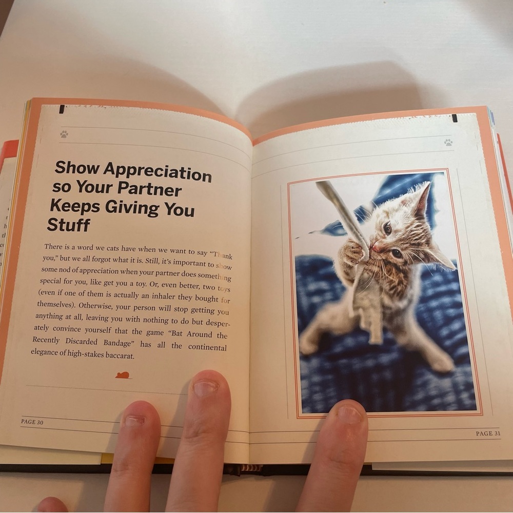 You Need More Sleep - Advice from Cats Book - Picture 3 of 3